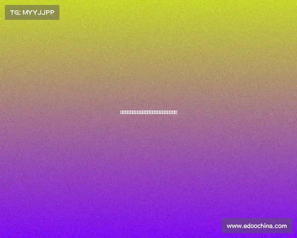 雷恩城市历史文化与现代发展的交融探索与未来展望